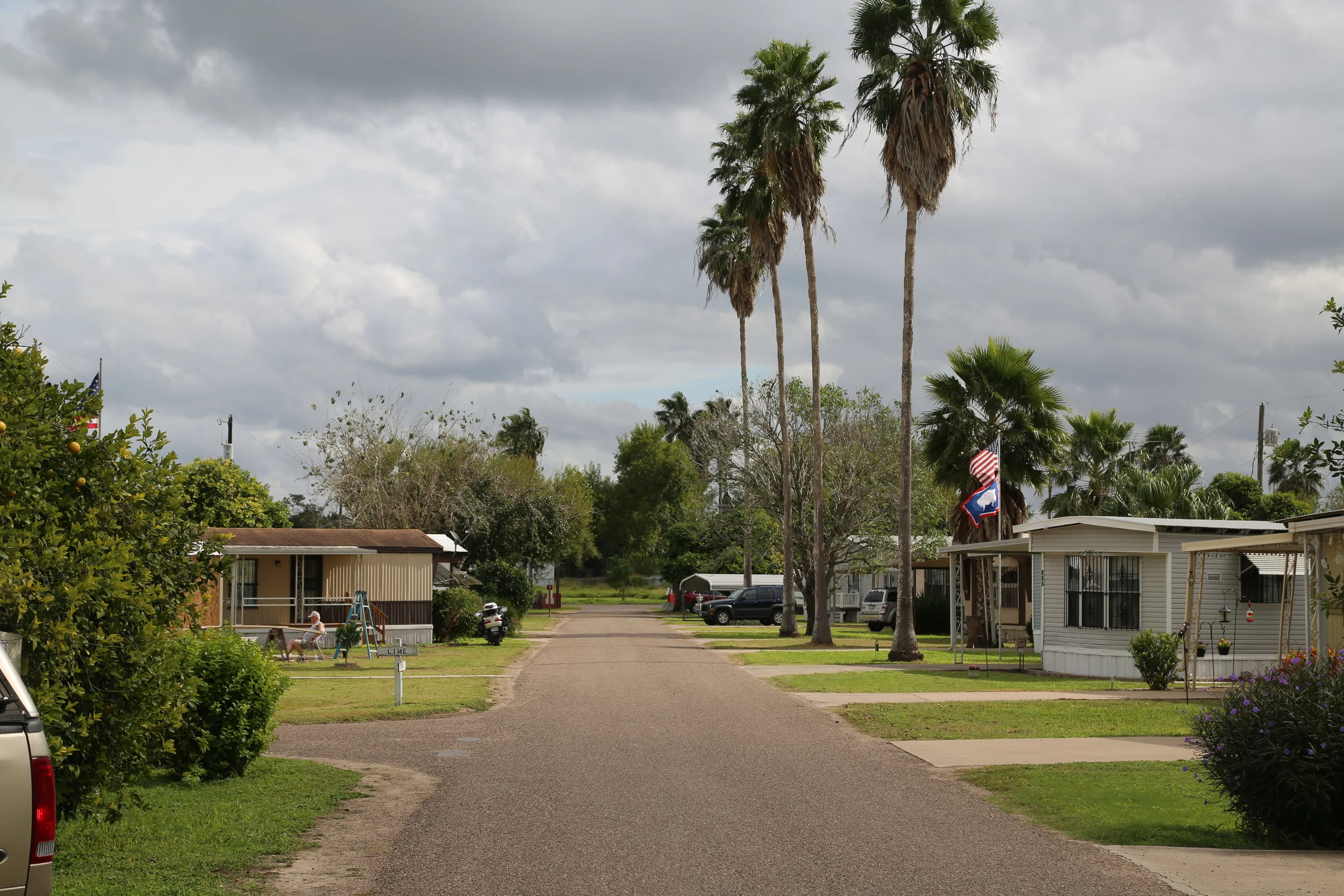 Palm tree lined street at Countryside MHP